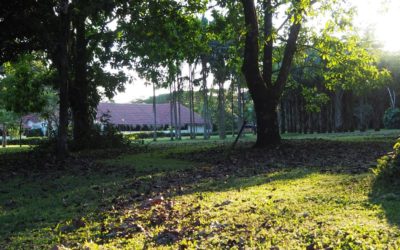 123, 7 km por papá 
